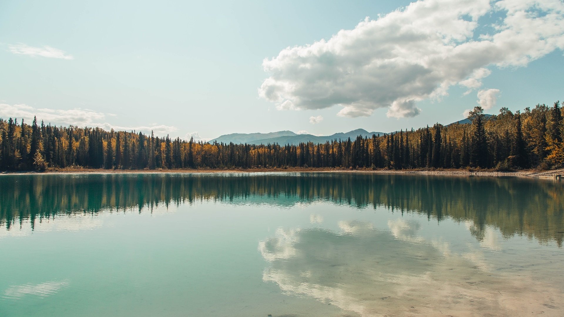 AYX SPORTS-“英超战场火热，追逐冠军不言放弃”，英超争4