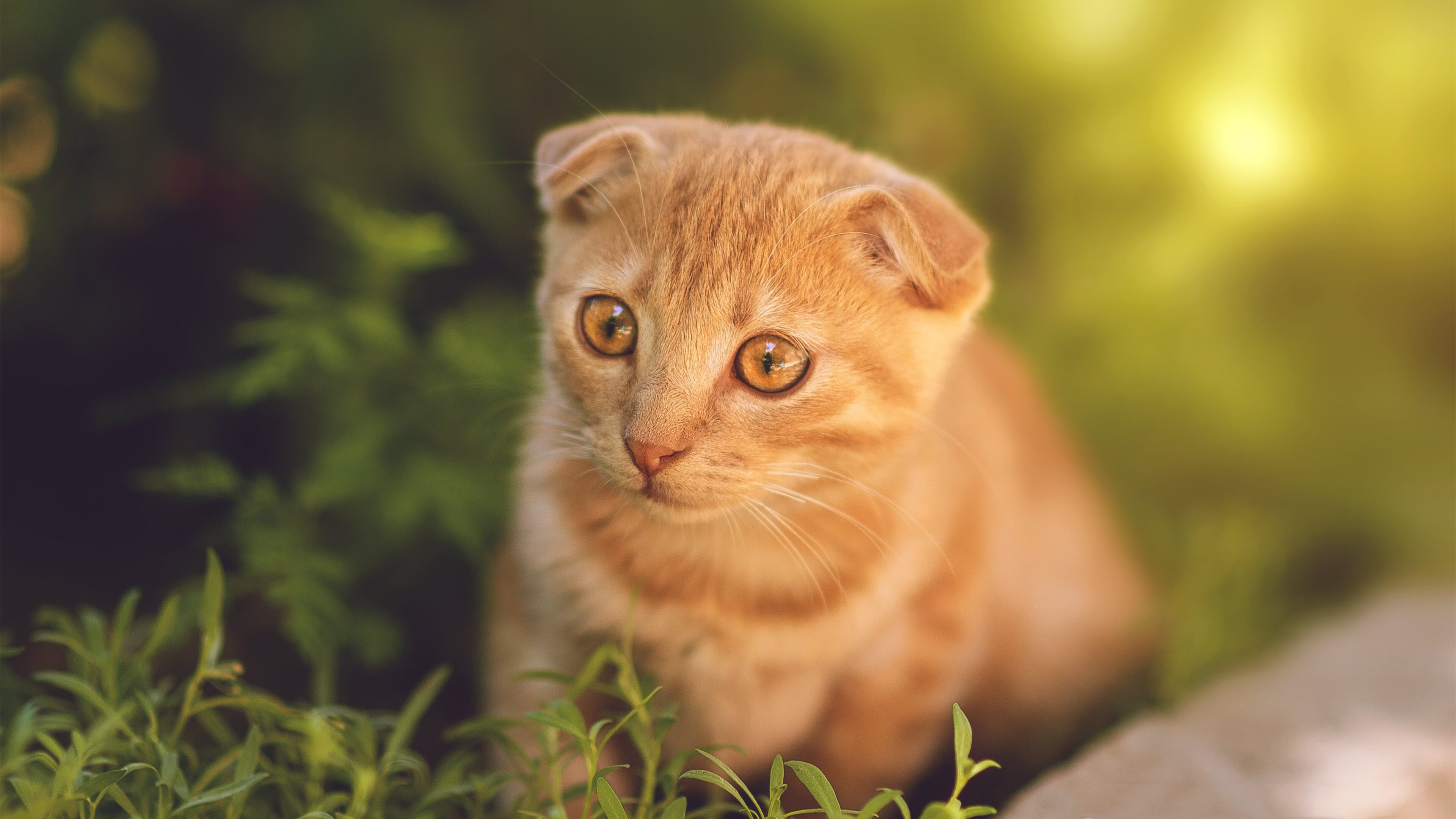 爱游戏体育官方网站-【训练心得】丁俊晖：提升击球精准度的实用技巧，丁俊晖的握杆方法