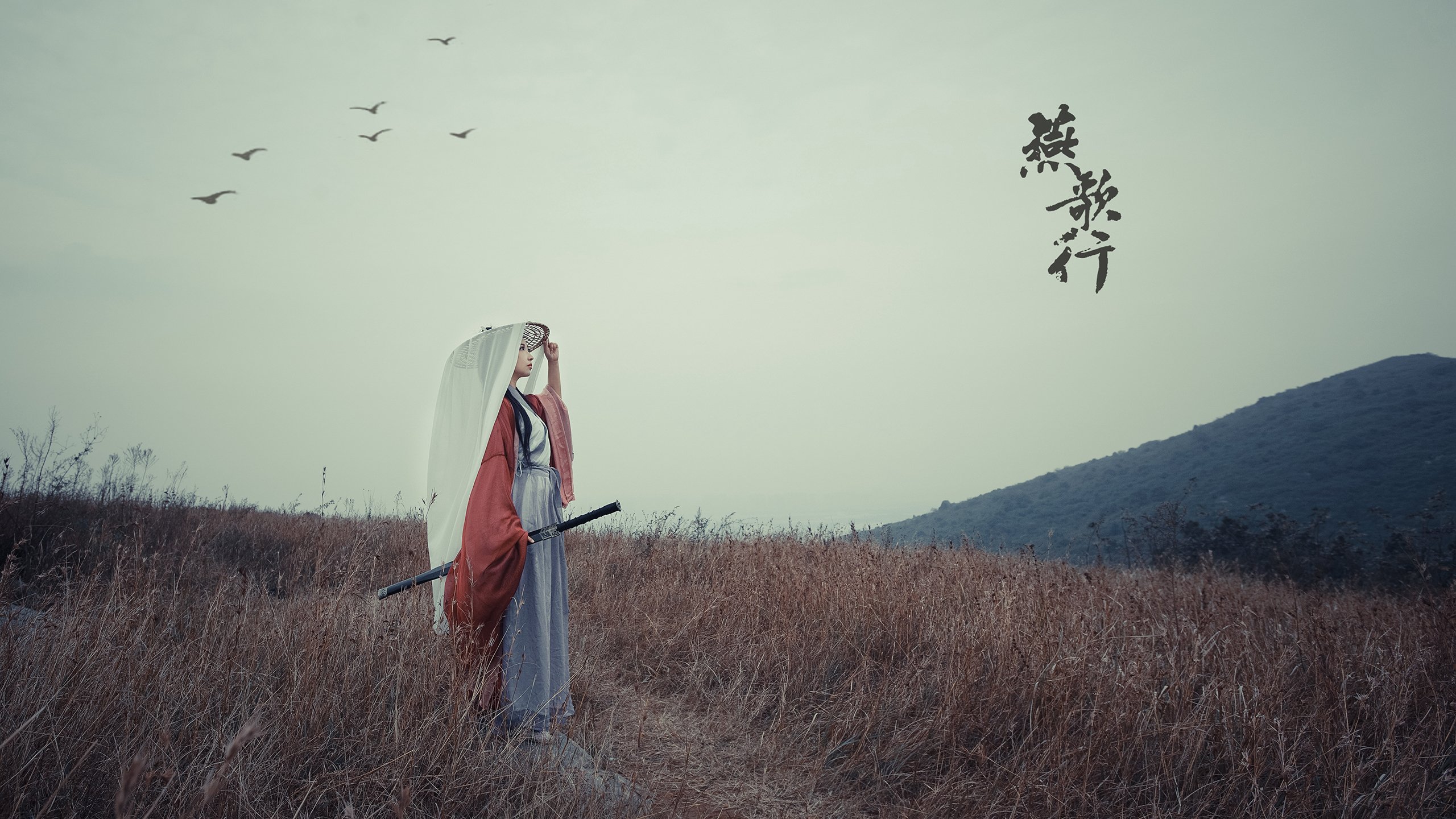 高空吊桥极速跳跃，勇气与平衡的极限测试，高空吊桥价格