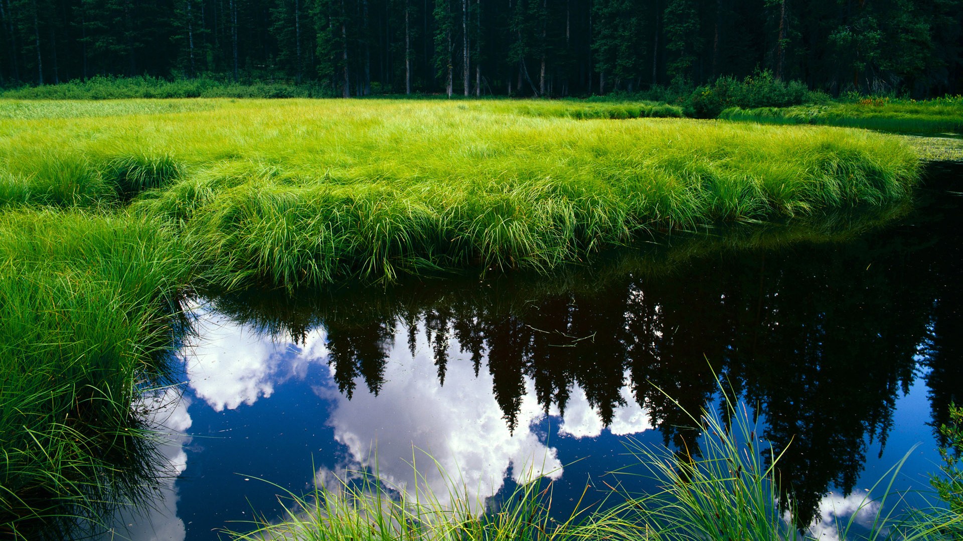爱游戏登录入口-高空吊索漂流挑战，橫扫山谷的极速运动，高空吊绳使用方法视频