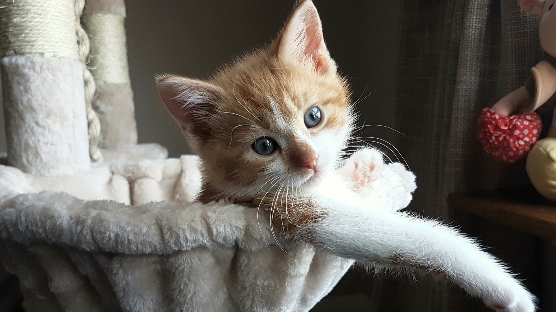 爱游戏电竞官网-DOTA 2手游版推广加速，dota2的手游