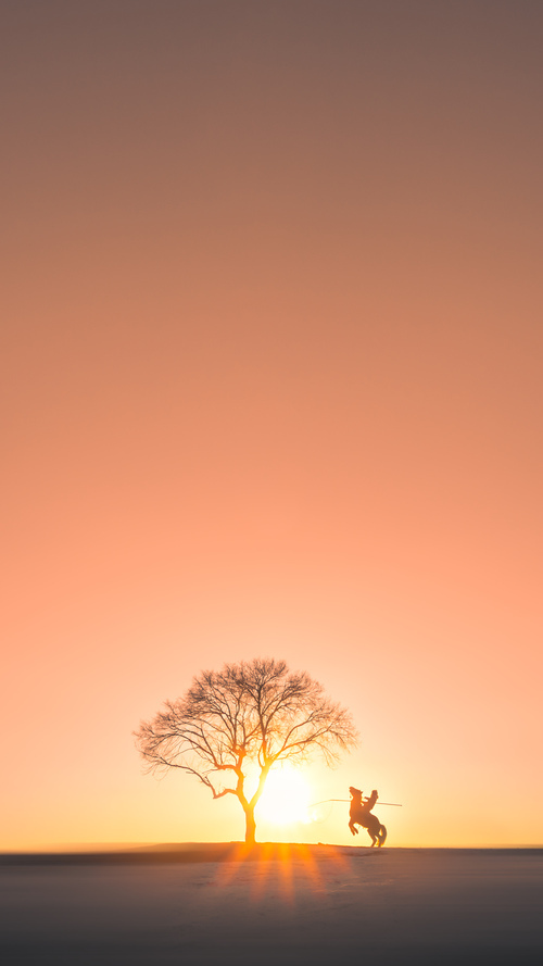 回顾排球女排逆袭之路,女排练球