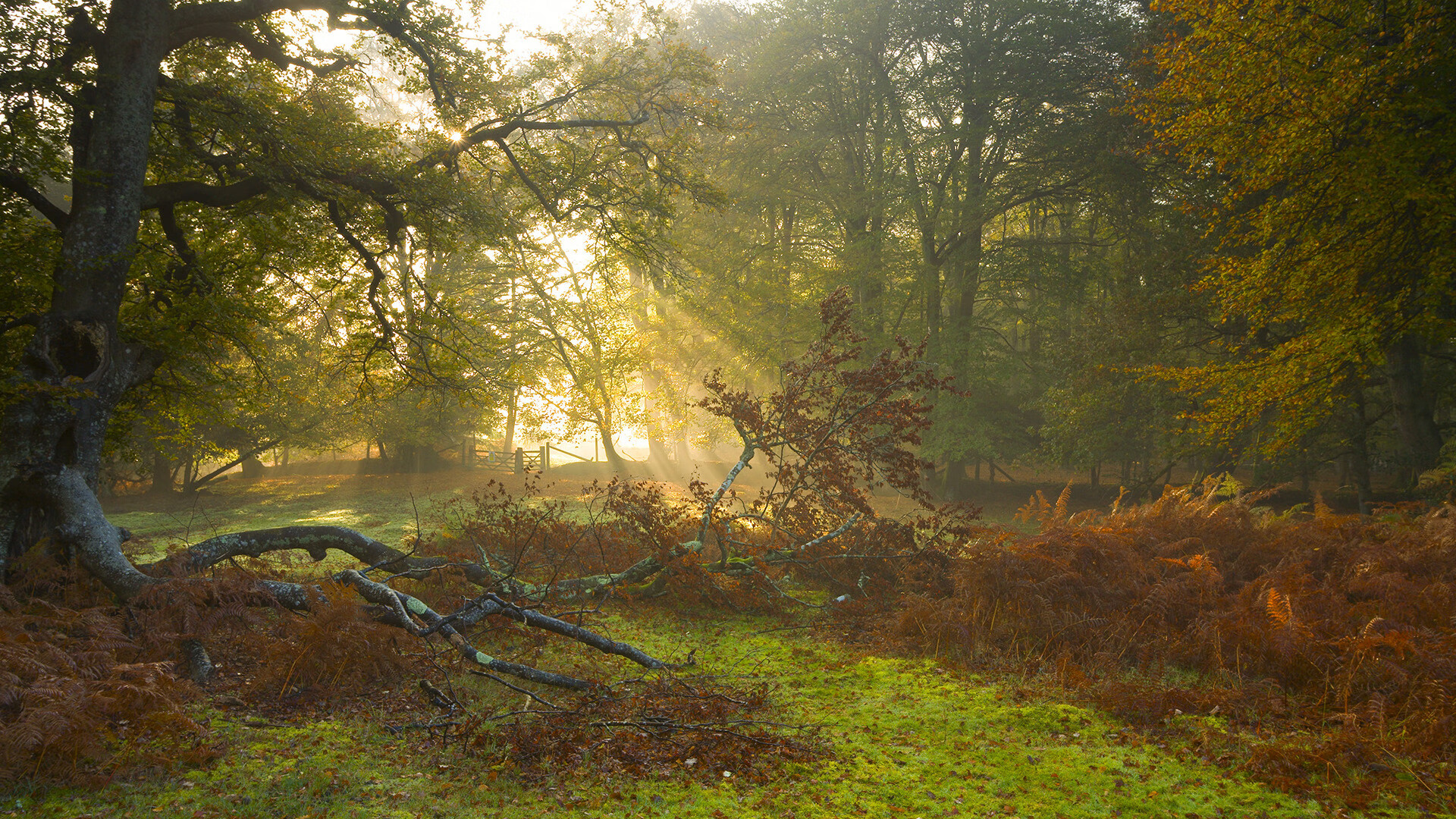 爱游戏下载-尤文图斯遭遇曼城逆转，惨失欧冠四强，尤文图斯曼联欧冠