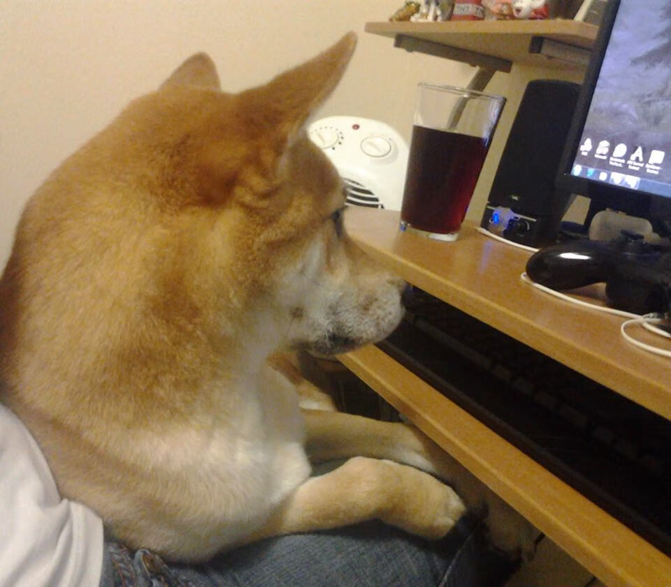 AYX体育官网-日本马术队在2024年世界马术运动会中获得团体三项赛银牌，成绩斐然。