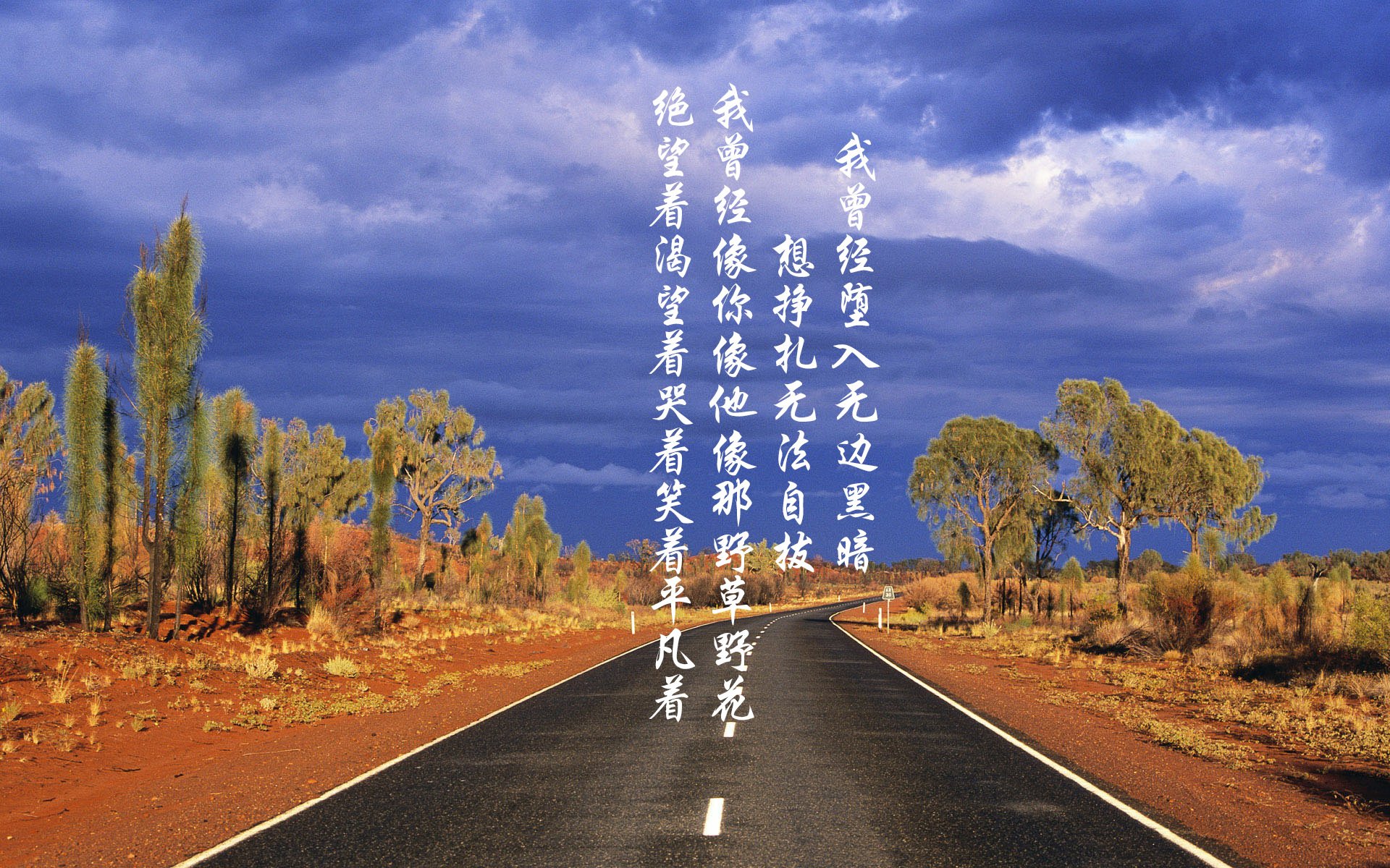 法国马术队在巴黎奥运会三项赛团体决赛中获得银牌,展现出色表现。