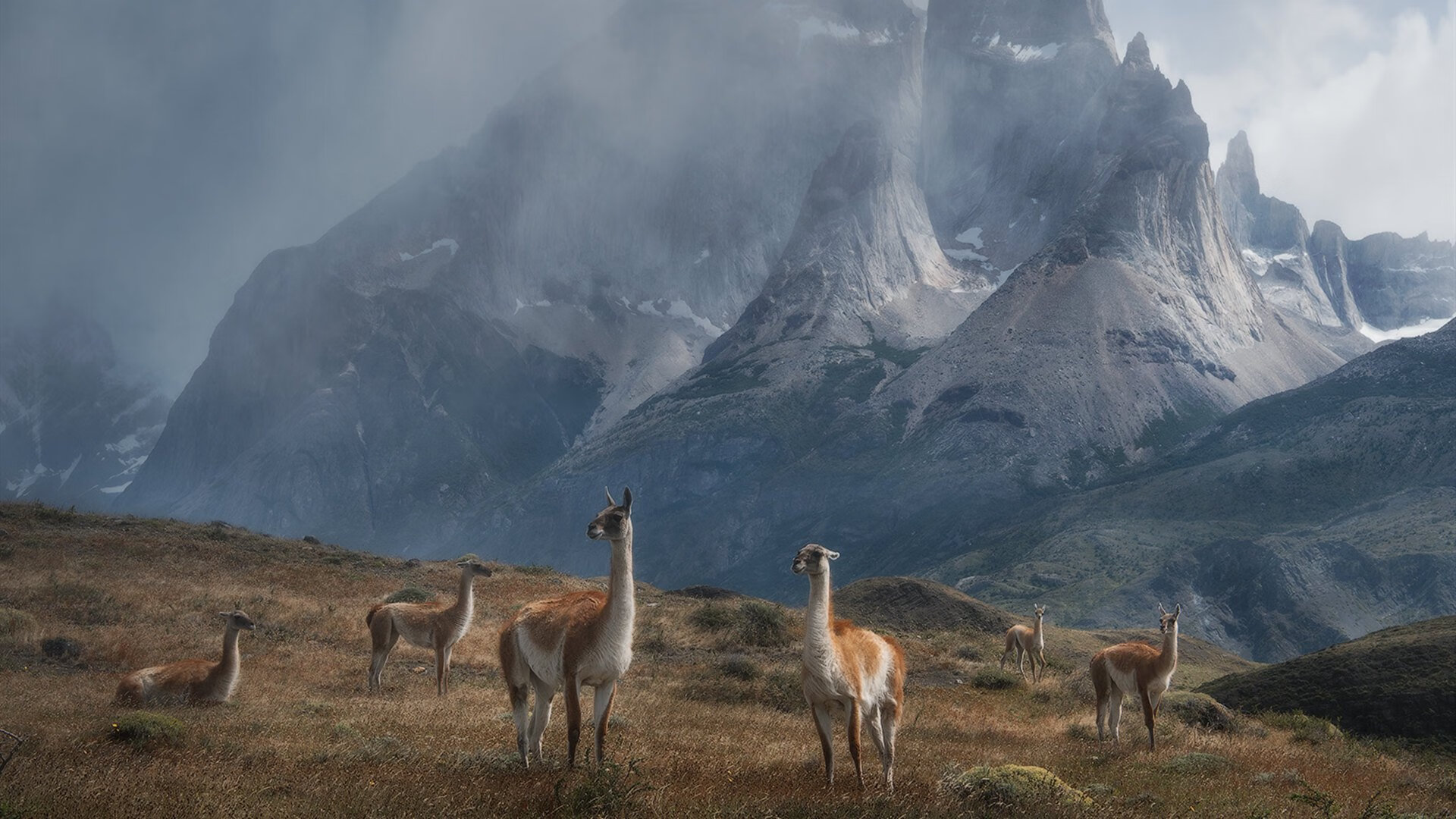 篮协宣布新规则调整，为提高比赛观赏性，篮协新规定