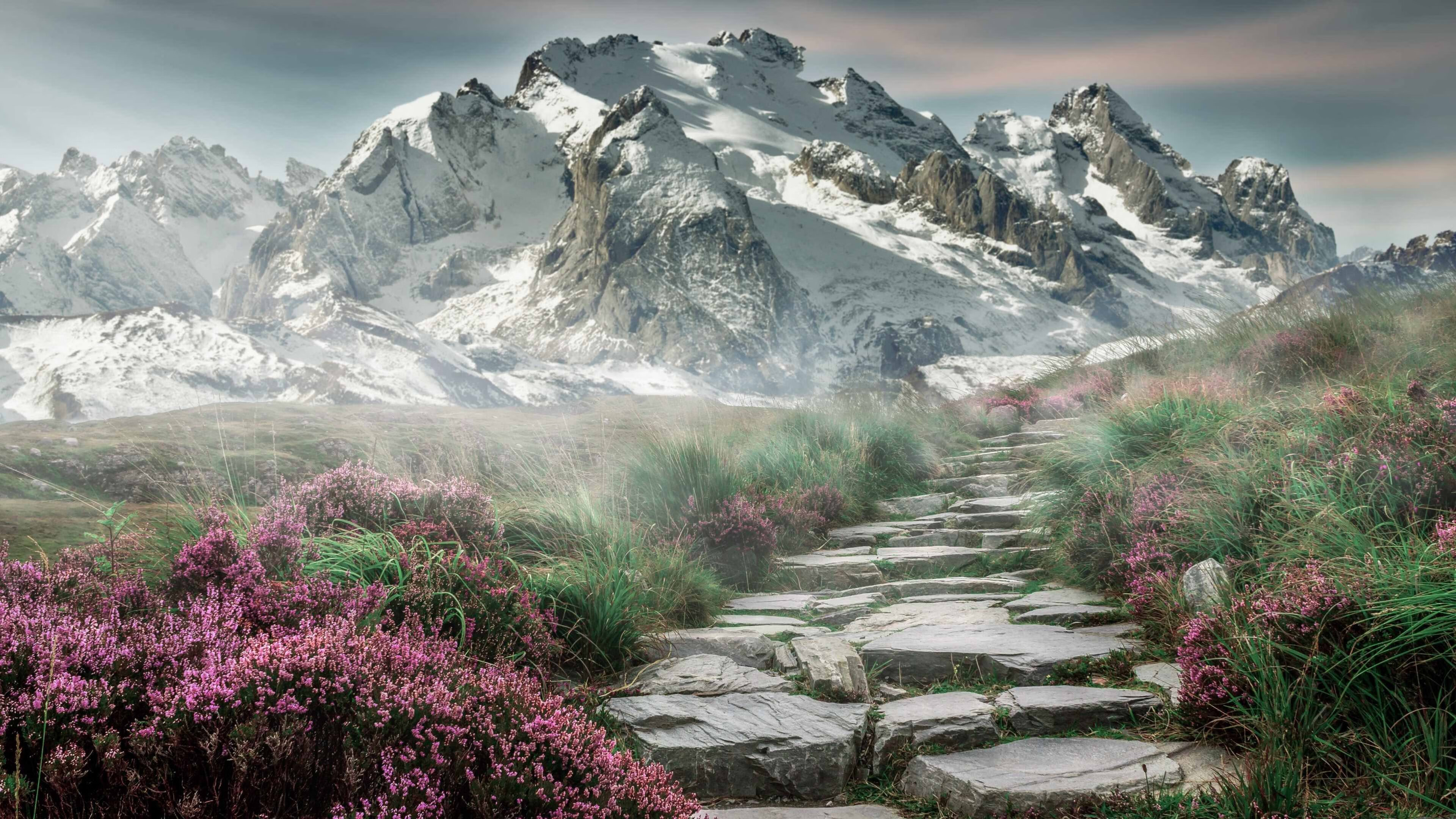 AYX体育官网-“速度与耐力的对决，SHO-CHAN Run 2025将在香港点燃激情”