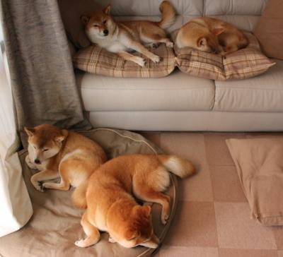 爱游戏在线娱乐官网-中国女篮保持良好战术执行力，中国女篮表现