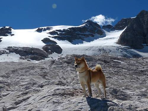 中国男篮体能储备显著增强,中国男篮体育