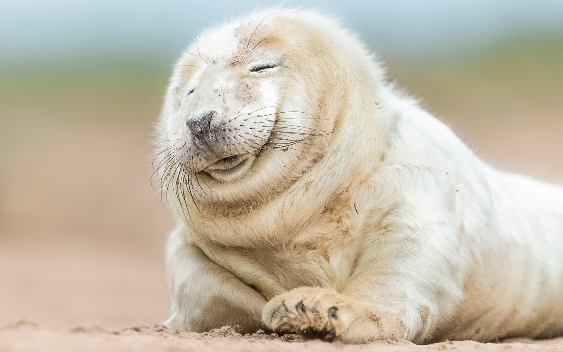 AYX体育官网-赫塔菲控球稳定组织起有效反击，赫塔菲七连败