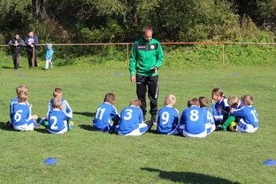 爱游戏-德甲战术大变：变化迅速，精彩纷呈，德甲赛制介绍