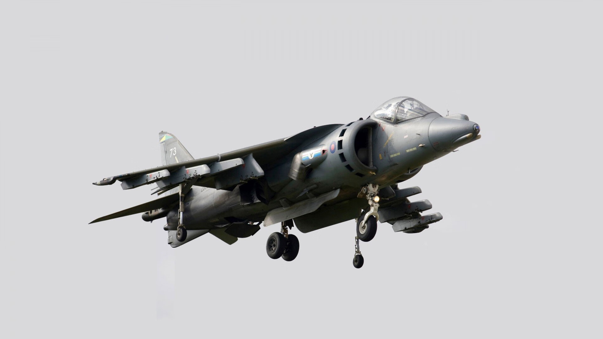 爱游戏娱乐平台-澳大利亚袋鼠队的进攻组织流畅，球员间默契十足，澳大利亚袋鼠竞赛官网