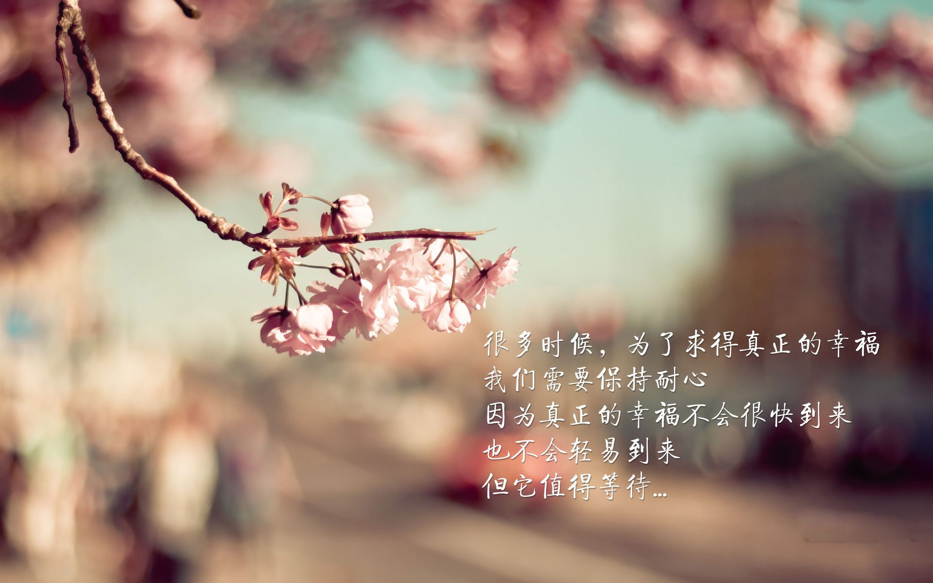 爱游戏娱乐网址-男篮亚洲预选赛即将开打各国代表队积极筹备备战，男篮亚洲预选赛程