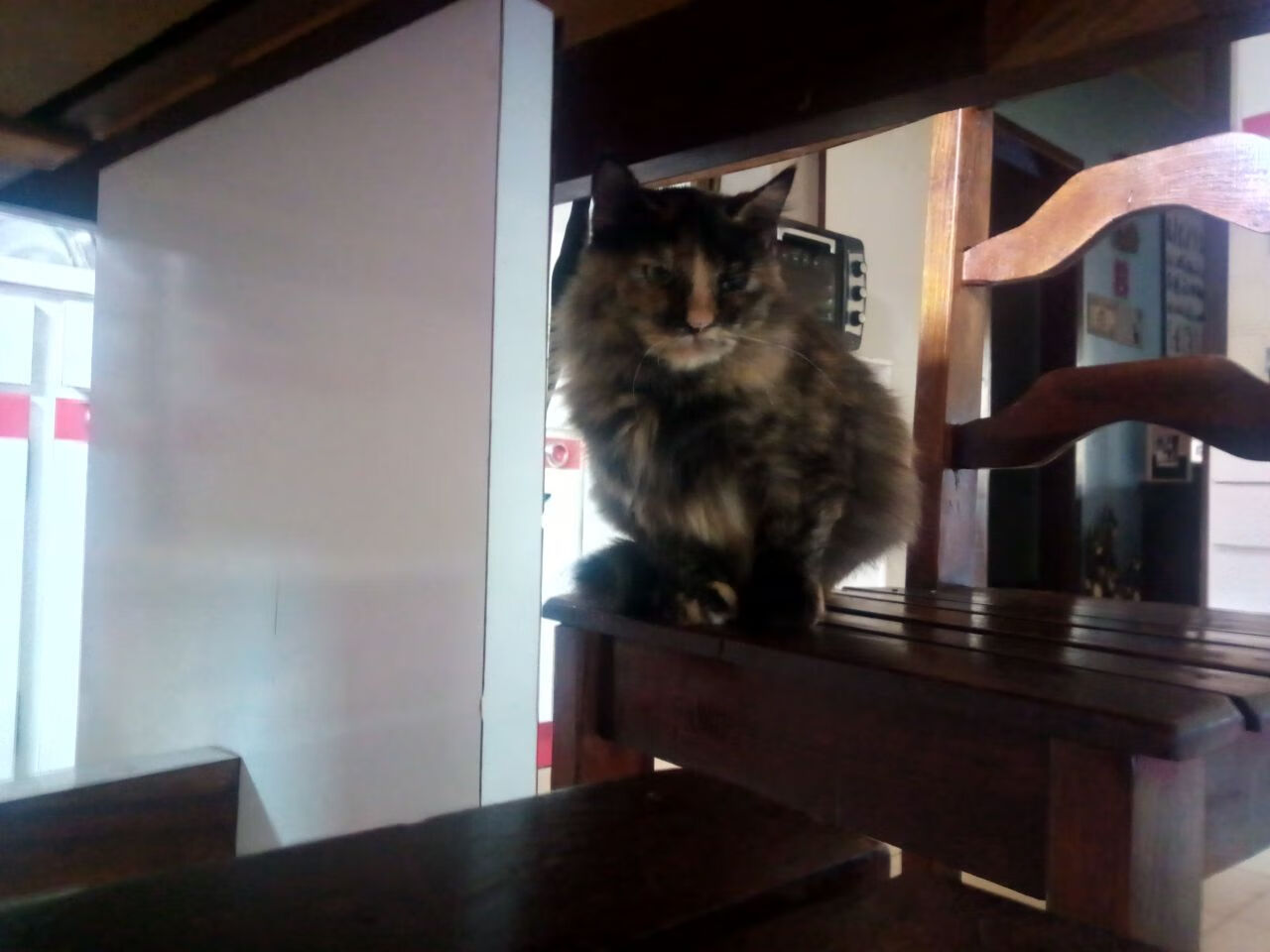 许昕告别赛场全运会，许昕告别赛场全运会视频